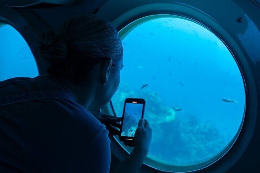 Atlantis Submarine Adventure Cozumel: Explore the Caribbean Reef 4