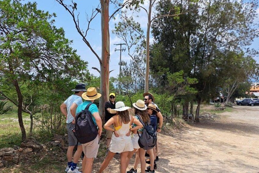Hierve el Agua Early Tour with Pickup + smoke-kitchen 2