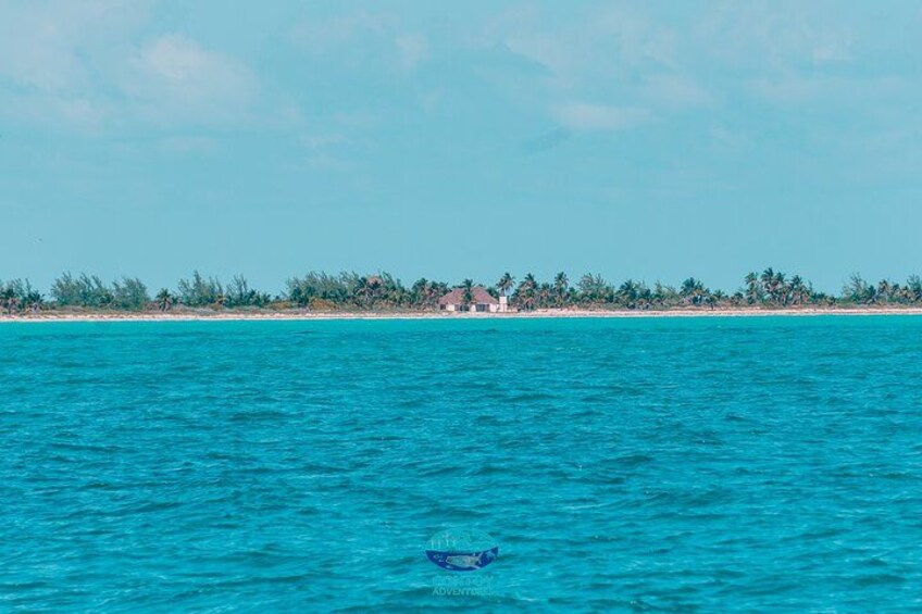 Isla Contoy Eco Adventure 2