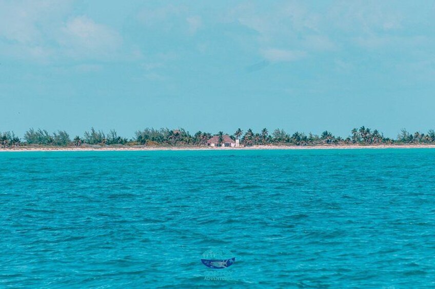 Isla Contoy Eco Adventure 2