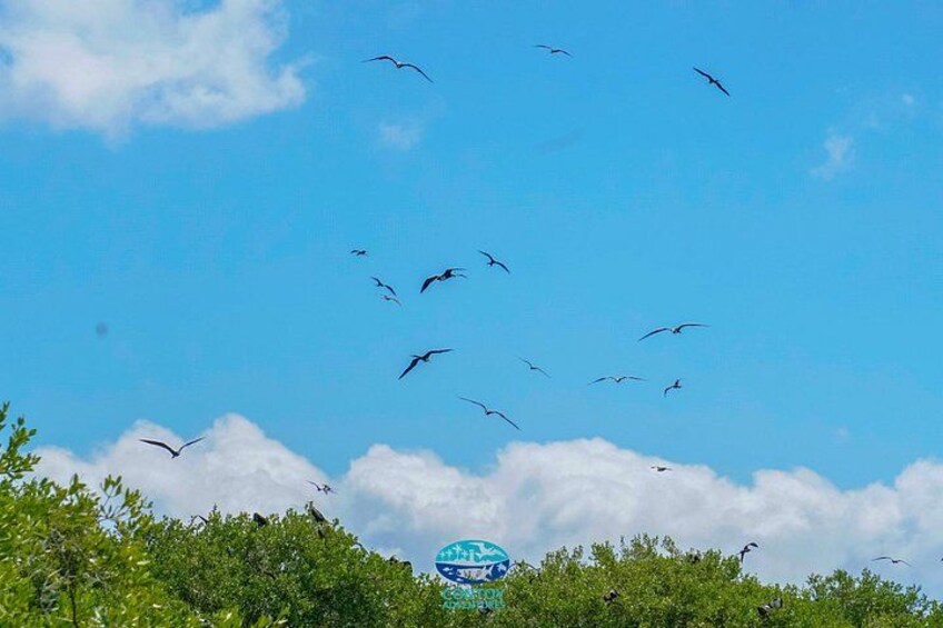 Isla Contoy Eco Adventure 5