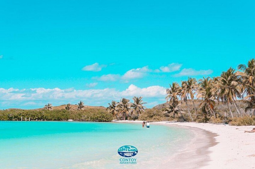 Una playa con aguas turquesas cristalinas, arena blanca y palmeras bajo un cielo azul. 2