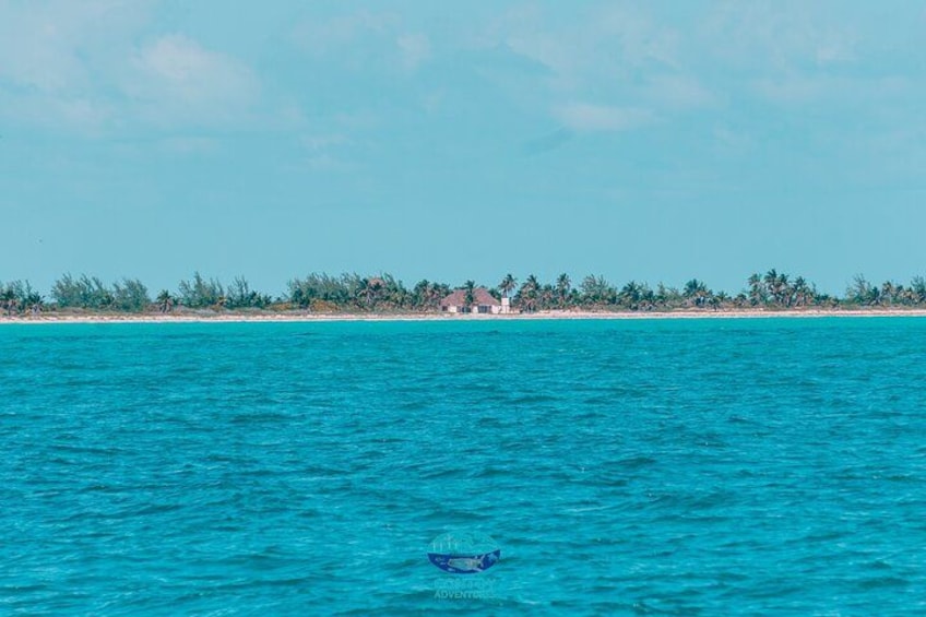 Isla Contoy Eco Adventure 4