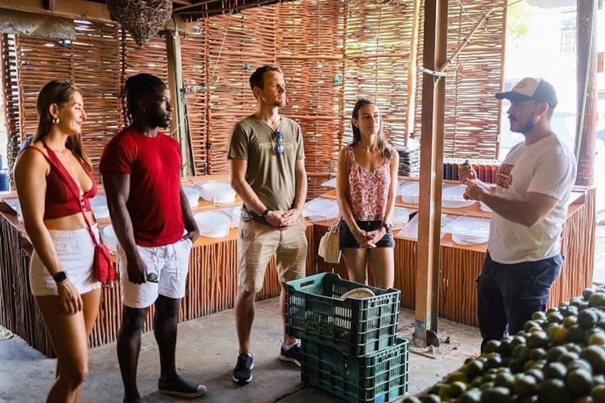 Playa del Carmen Walking Food Tour 2