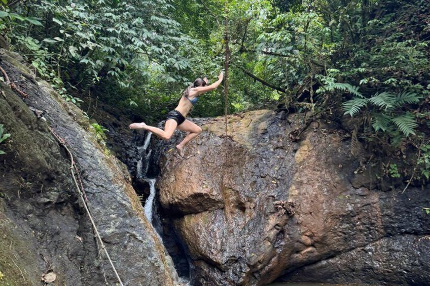 4x4 Jungle Safari to Waterfall & Delicious Rainforest Lunch 4
