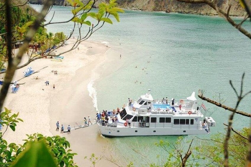 Tortuga Island 4