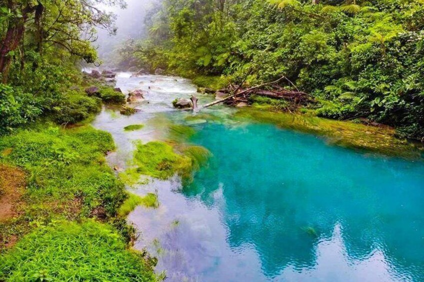 Tenorio Rainforest Hanging Bridges, waterfall and Sloth Encounter 5