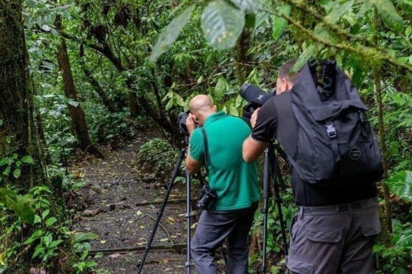 Tenorio Rainforest Hanging Bridges, waterfall and Sloth Encounter 3