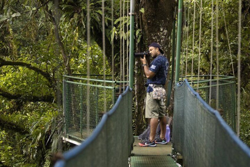 Tenorio Rainforest Hanging Bridges, waterfall and Sloth Encounter 1