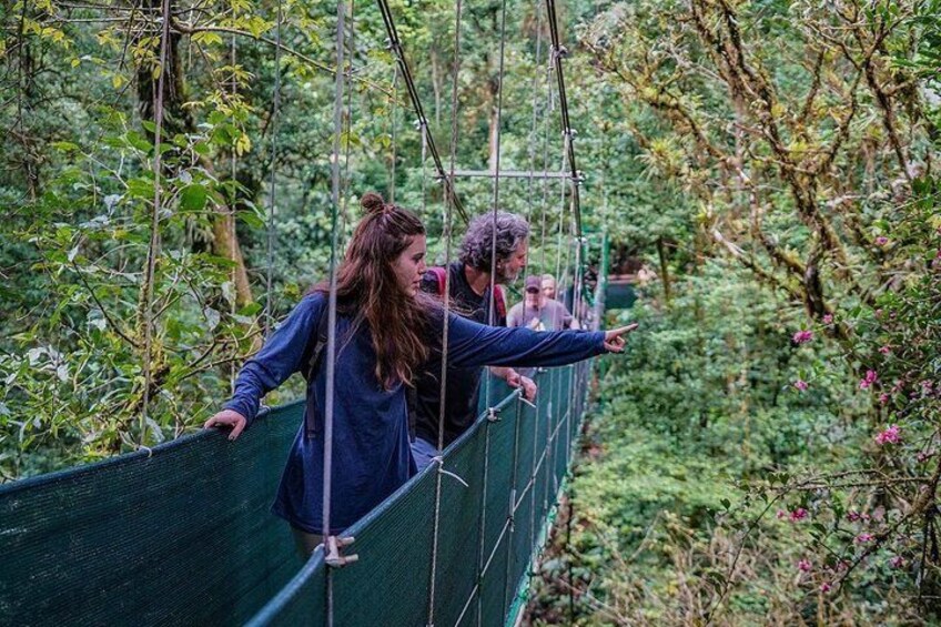 Tenorio Rainforest Hanging Bridges, waterfall and Sloth Encounter 2