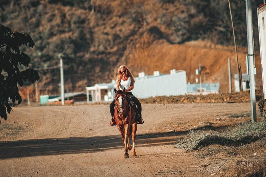 A person riding a horse on a dirt road with a mountainous background. 5