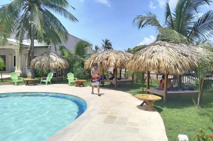 A swimming pool with palm trees and thatched umbrellas. 5