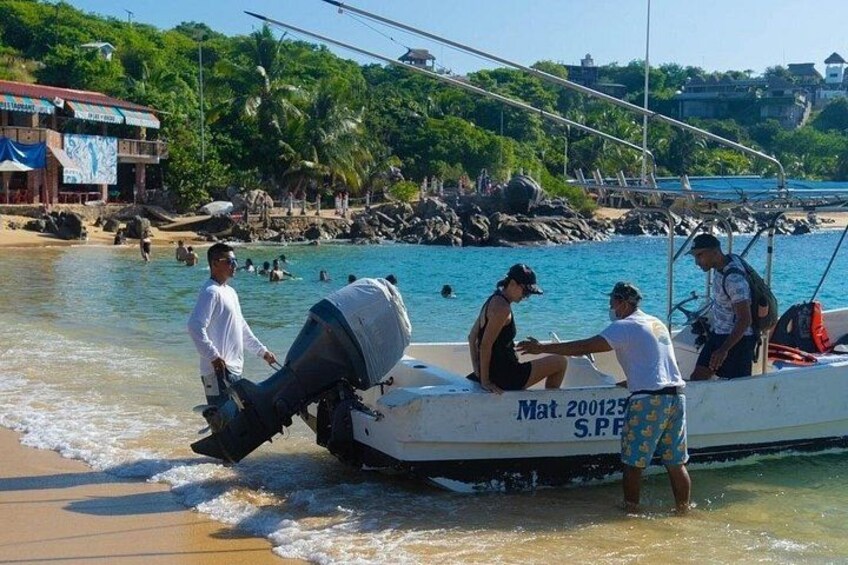 Dolphin Watching Tour 2