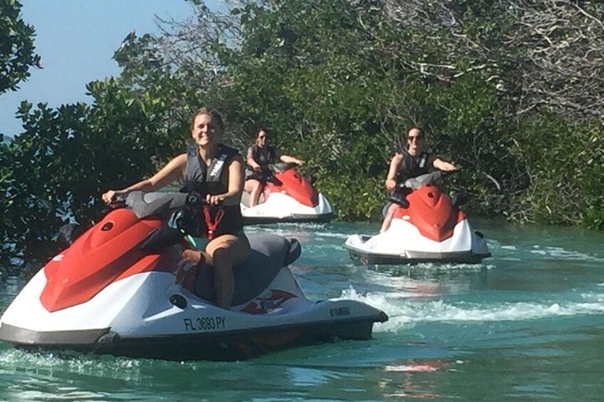 Mangrove Tunnels are a MUST... 1