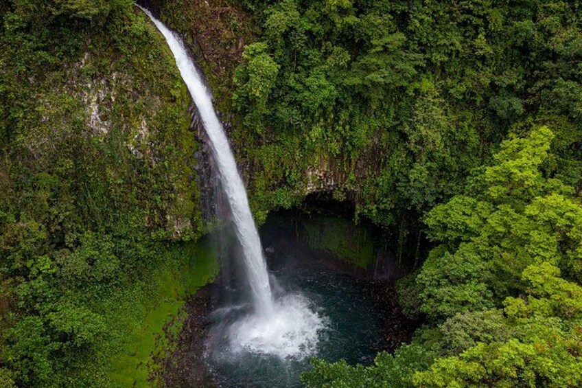 Une cascade se jetant dans une zone boisée, où la végétation est luxuriante. 2