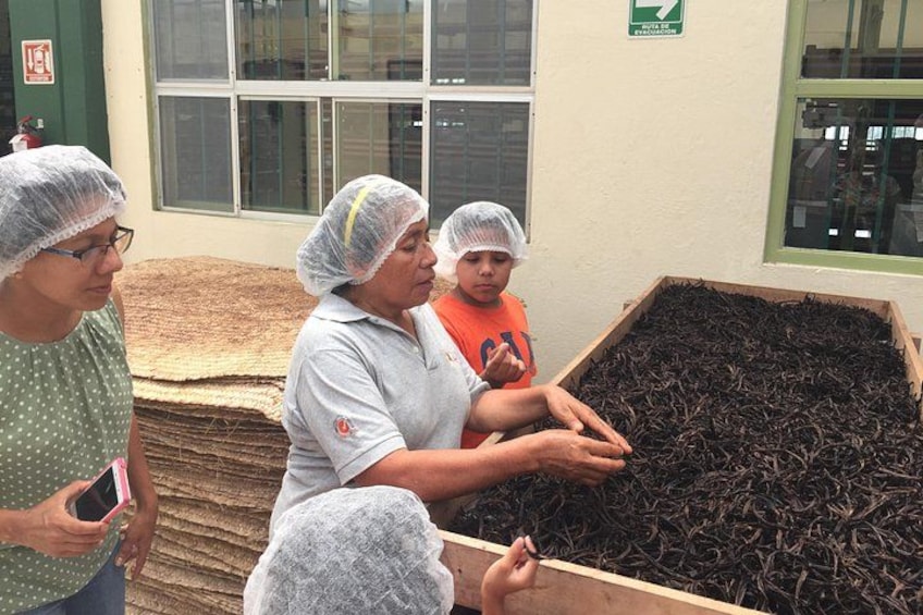 Three people handling a large container filled with organic material, possibly compost, in an industrial or agricultural setting. 1