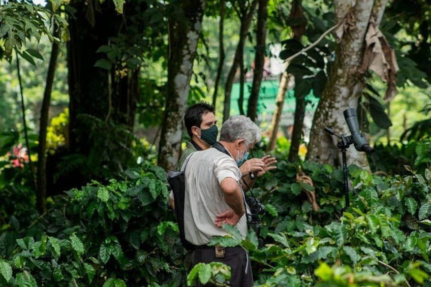 Sloth Watching Tour in La Fortuna - Wildlife Experience 3