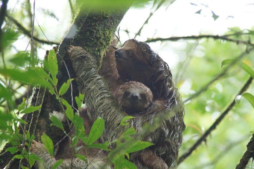 Mom and baby 1
