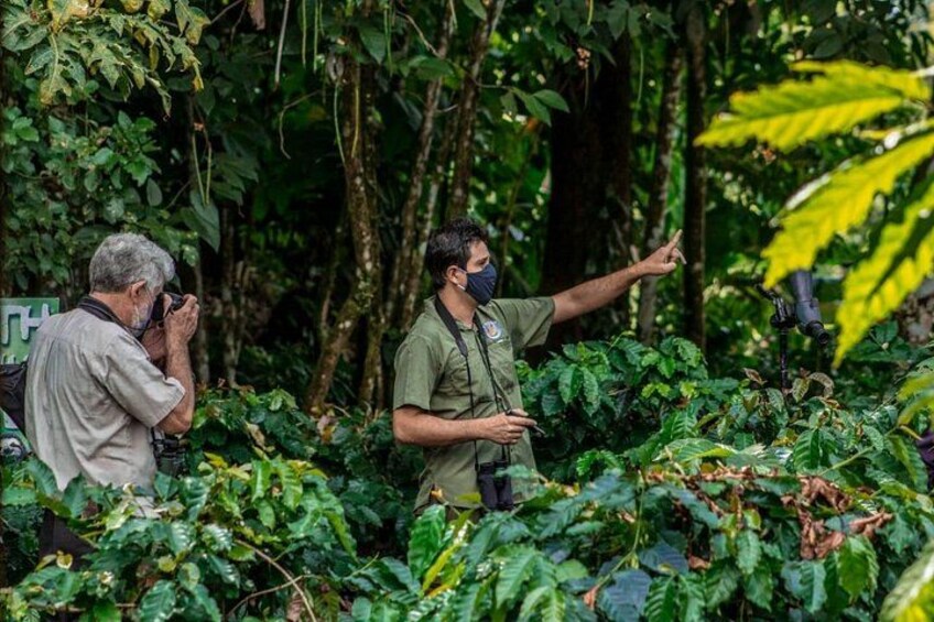 Sloth Watching Tour in La Fortuna - Wildlife Experience 4