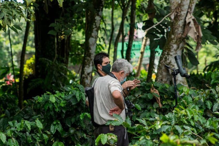 Sloth Watching Tour in La Fortuna - Wildlife Experience 3
