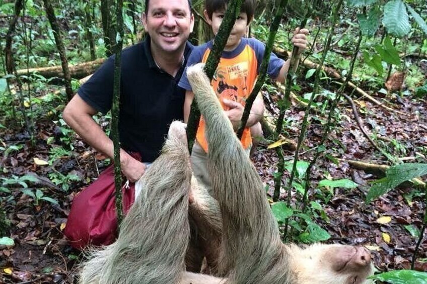 Sloth Watching Tour in La Fortuna - Wildlife Experience 2