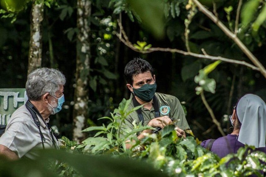Sloth Watching Tour in La Fortuna - Wildlife Experience 3