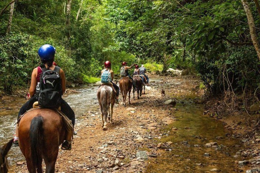 Un gruppo di persone cavalca lungo un sentiero roccioso in una zona boschiva. 3