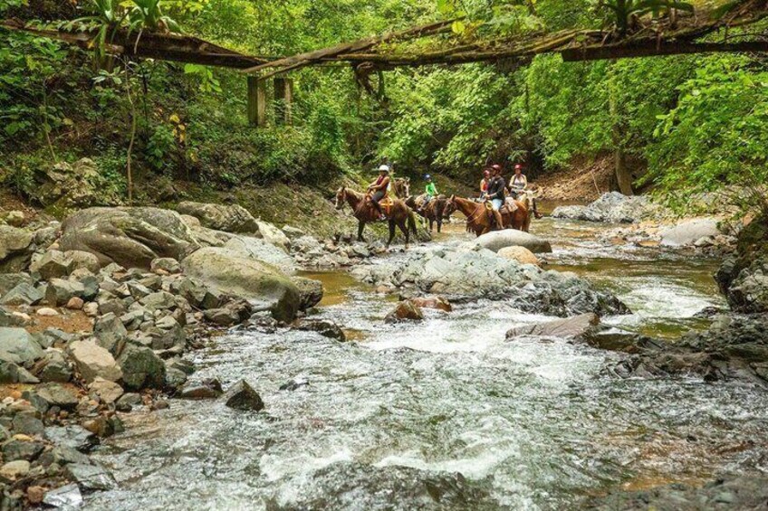 Un gruppo di persone cavalca lungo un torrente roccioso in una zona boschiva. 5