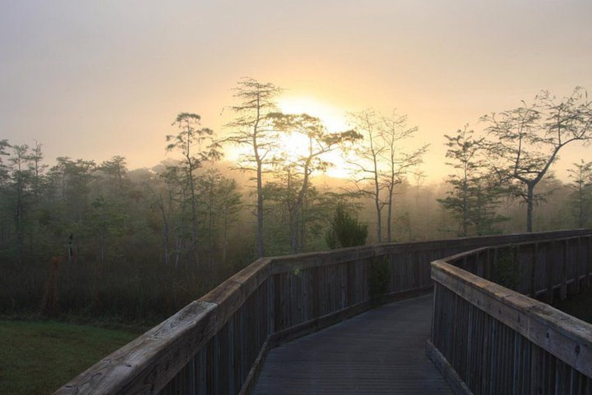 Nature Walk 2