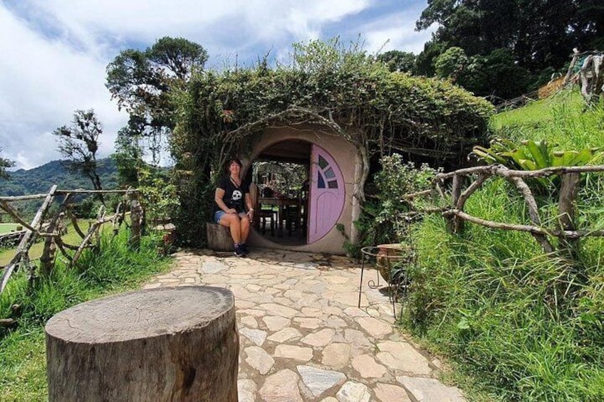 the Hobbit house 2