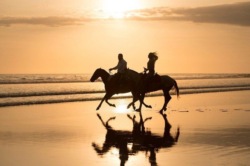 Beach & horses Adventure Tour 2