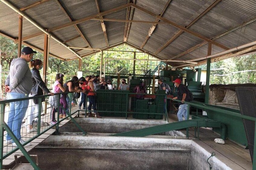 The Wetmill at Finca La Azotea 4