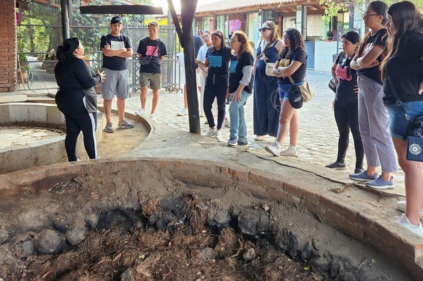 Private Tour to Hierve el Agua, Mezcal Tasting, and Textiles 3