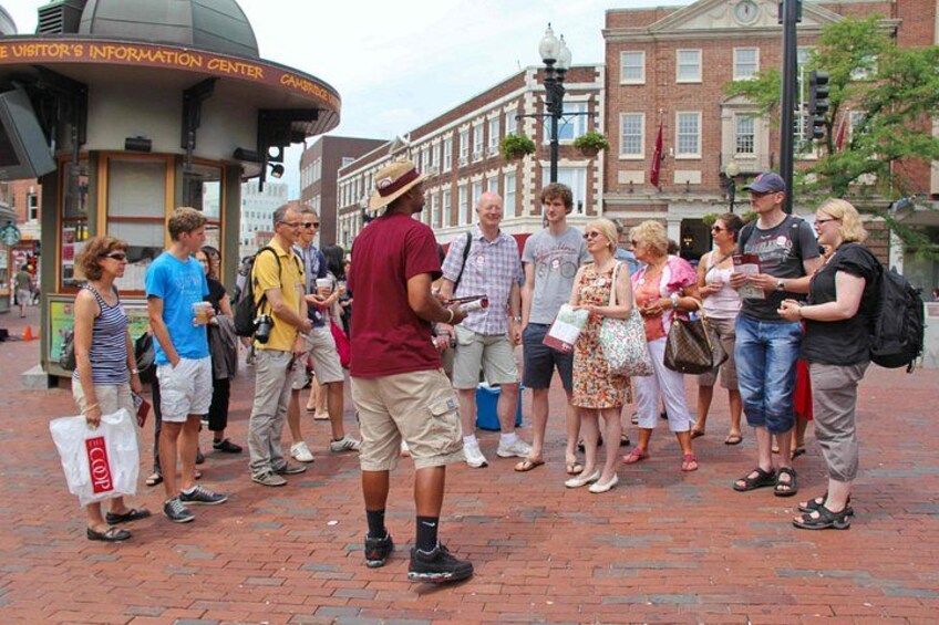 Launching in Harvard Square 2