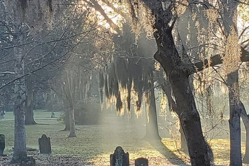 Un cementerio con árboles y lápidas. 2