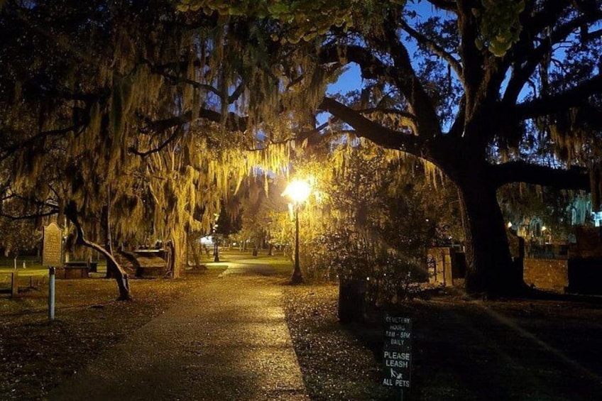 A park at night with a pathway, trees with Spanish moss, and a lit lamp post. 1