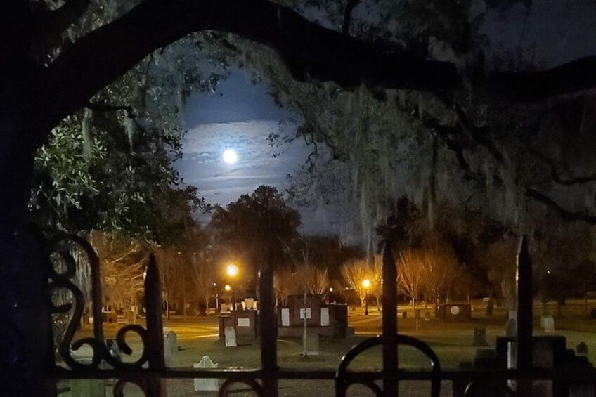 A nighttime cemetery scene with a full moon, street lamps, and trees with Spanish moss. 4