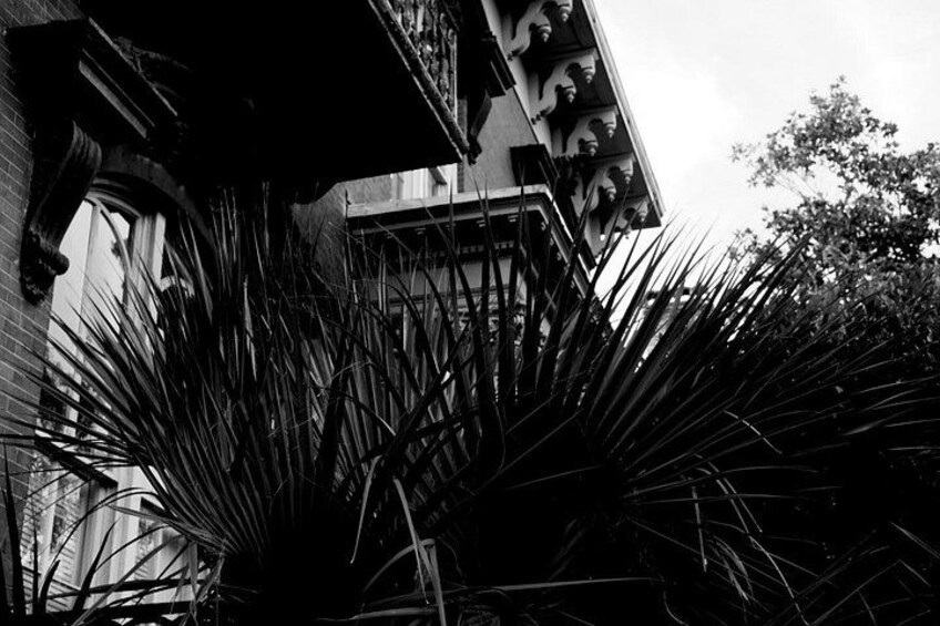 A building with a brick facade, a palm tree, and a tree in the background. 2