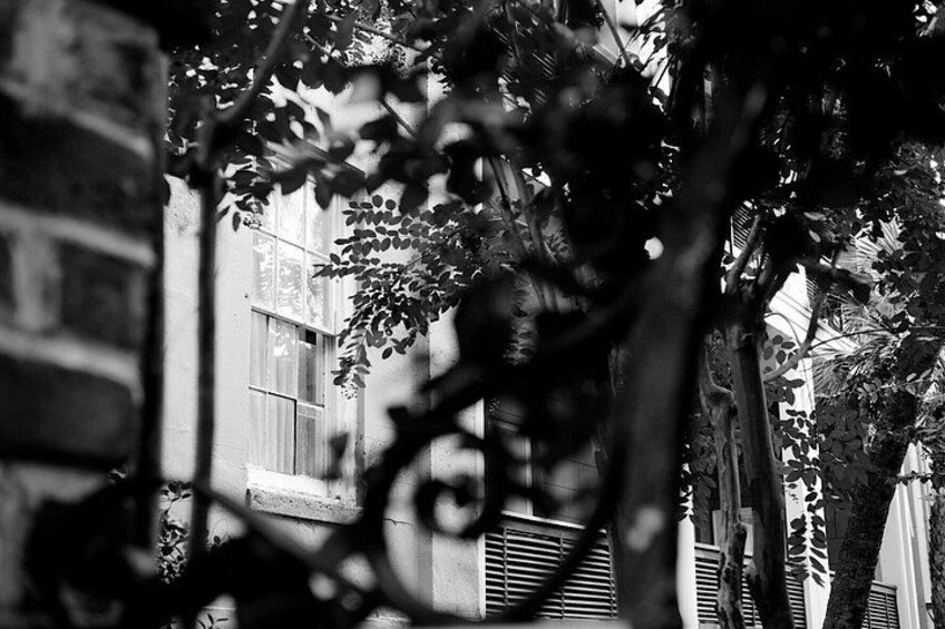 Schwarz-weiß-Ansicht eines Gebäudes mit einem Fenster und einem Baum im Vordergrund. 5
