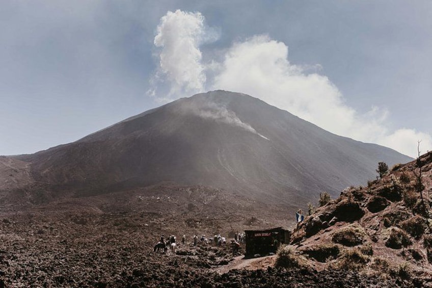 Pacaya Volcano Shared Hiking Tour 1