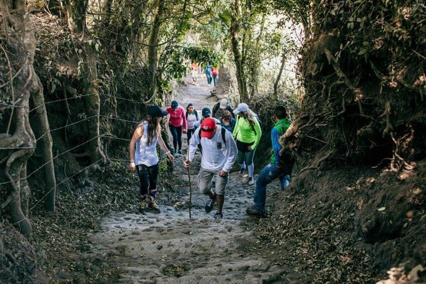 A group of hikers on a narrow, rocky trail surrounded by dense foliage. 5
