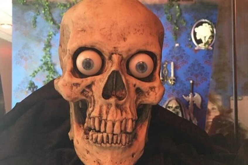 Meet Yorick in our shop! 2