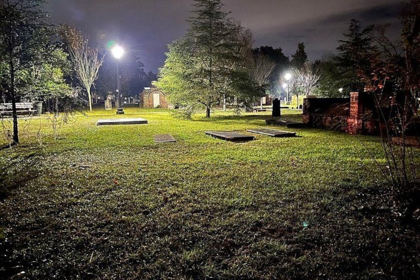 Savannah Beyond Good & Evil Tour 4