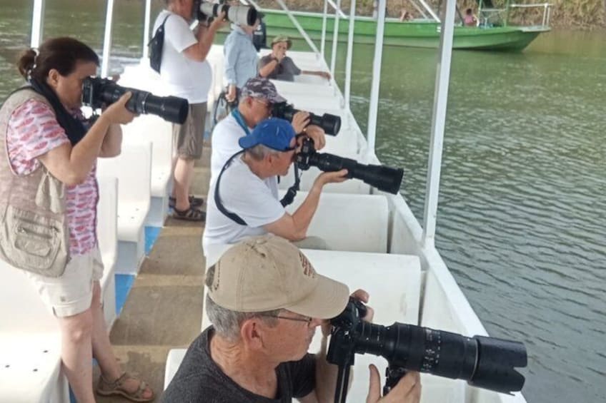 Jungle Crocodile Safari: Tarcoles River Crocodile Tour 4