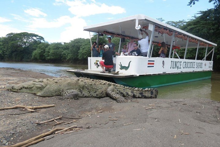 En båd kaldet 'Jungle Crocodile Safari' med passagerer, der observerer en krokodille ved bredden. 1