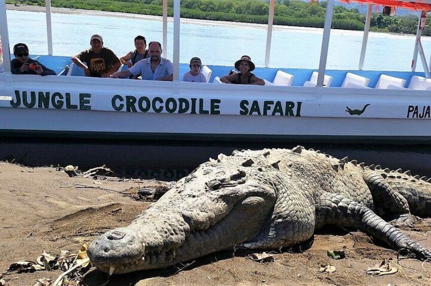Jungle Crocodile Safari: Tarcoles River Crocodile Tour 2