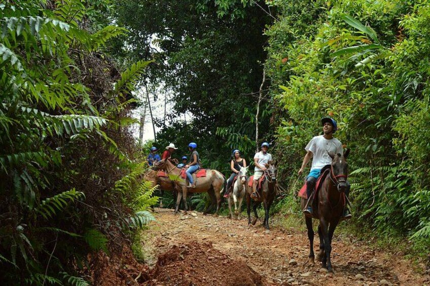 Horseback Riding and Waterfalls from Manuel Antonio 3