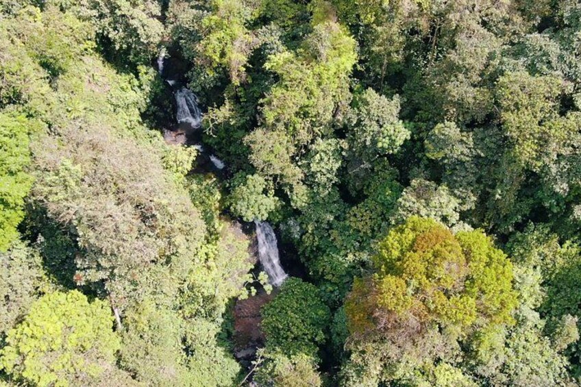 Horseback Riding and Waterfalls from Manuel Antonio 5