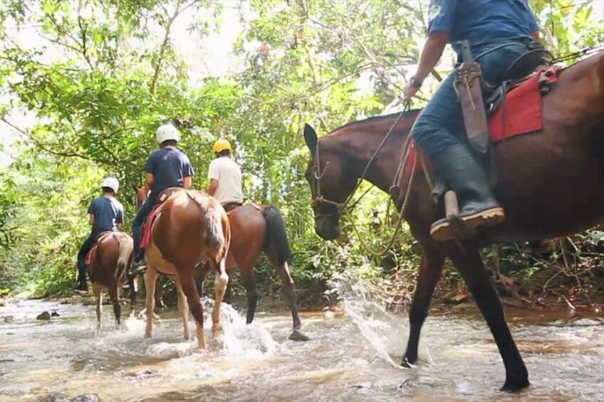 Horseback Riding and Waterfalls from Manuel Antonio 4
