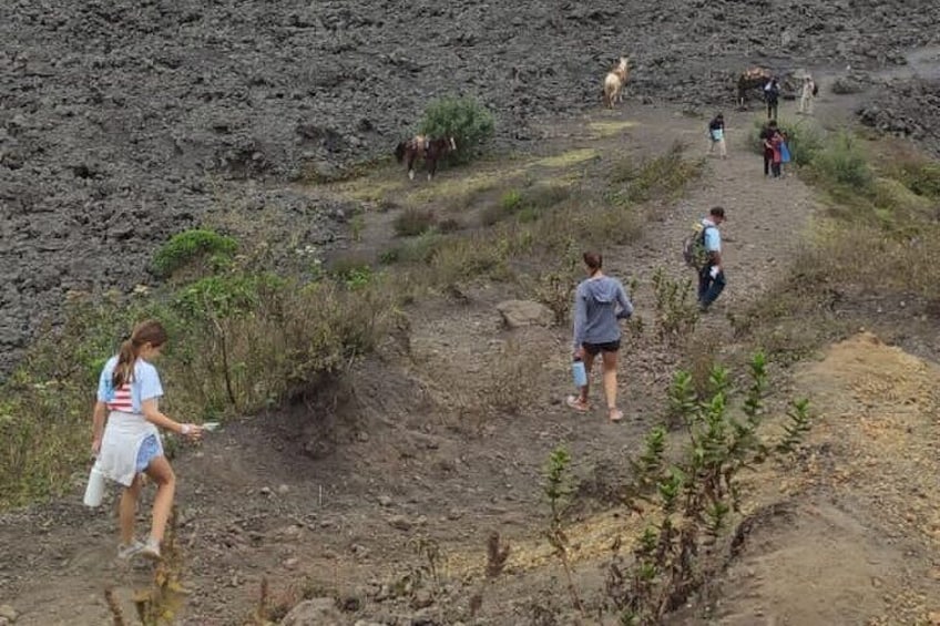 A group of people hiking on a rocky trail with sparse vegetation. 5